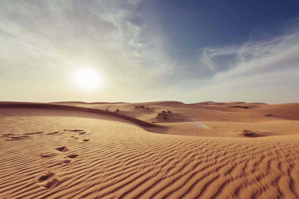 desert safari qatar